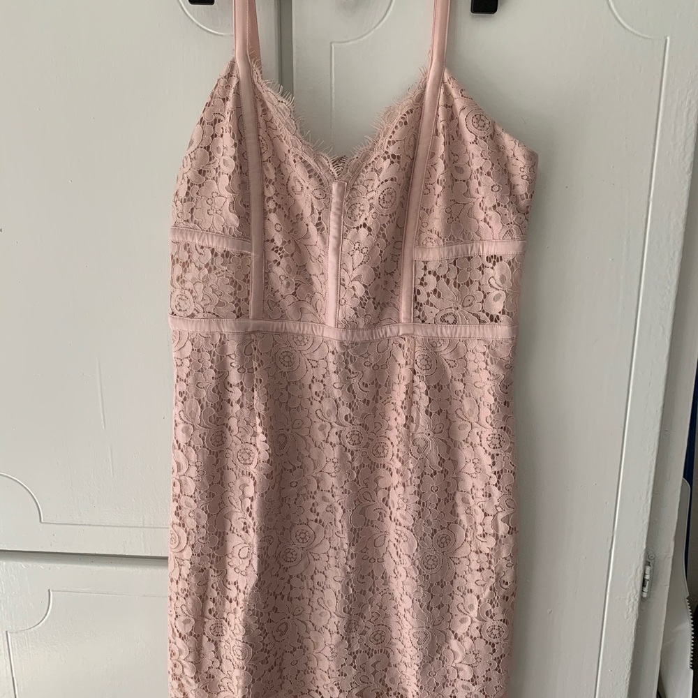 Express Dress Size 12